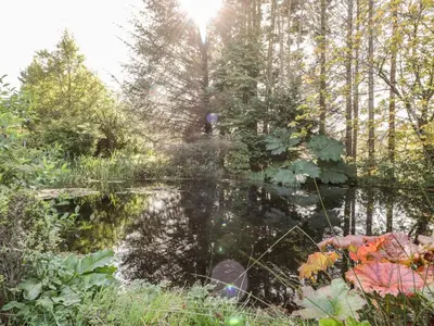 a pond in the middle of a garden with trees at The Log Cabin in Kilmore