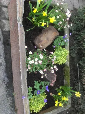 a garden of flowers and plants in a box at Auchenlea lodges in Glasgow