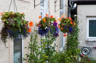 a bunch of flowers hanging from a building at Dean Park Guest House in Kilmarnock