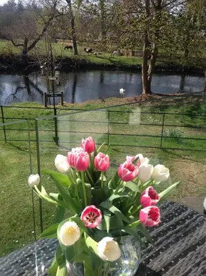 a vase filled with pink and white flowers on a table at Riverbank in Callander