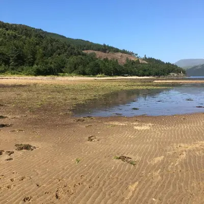 a sandy beach with a body of water at 35 Glenfinart Park in Dunoon