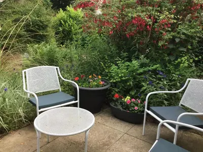 three chairs and a table in front of a garden at Ingleneuk Bed and Breakfast in Edinburgh