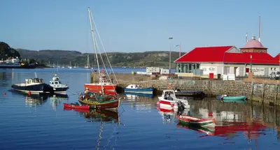a group of boats are docked in a harbor at Gramarvin B&B in Oban