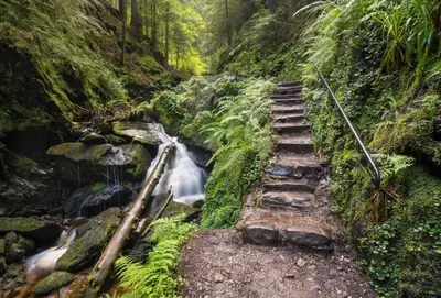 a stairway leading to a waterfall in a forest at Deer Croft Lodge in Hunters Quay