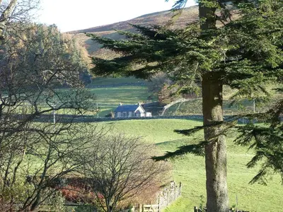 a house in the middle of a field with a tree at Nettlebush Cottage-Uk5629 in Drummelzier