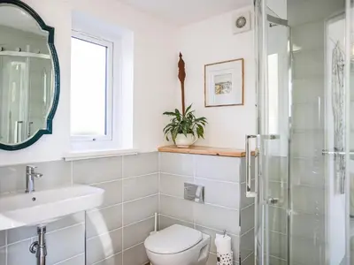 a bathroom with a toilet and a sink and a mirror at Strathcashel Cottage in Rowardennan