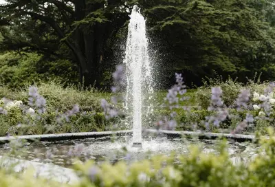 a fountain in a garden with purple flowers at JA Mar Hall Scotland in Bishopton