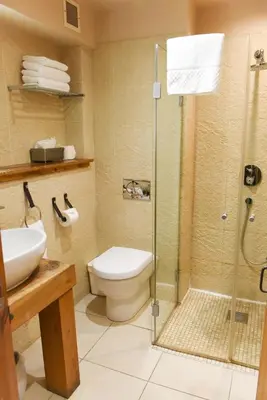 a bathroom with a toilet and a glass shower at Glenskirlie Castle Hotel in Banknock