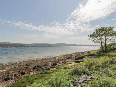 a tree on the shore of a body of water at MACS Place in Largs