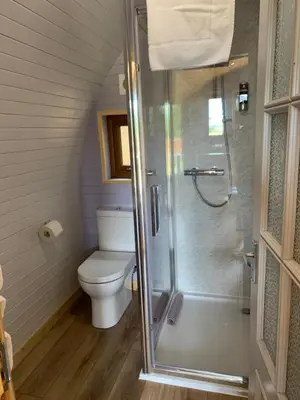 a bathroom with a toilet and a walk in shower at Kersebrock Kabins in Falkirk
