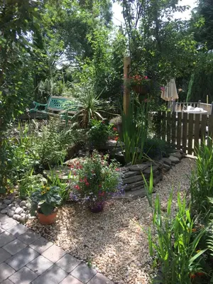 a garden with plants and a wooden fence at Rosemount Boutique B&B in Lanark
