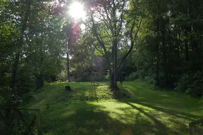 a tree in the middle of a grassy field at Waterfall Lodge - private waterfall and sauna in Killin
