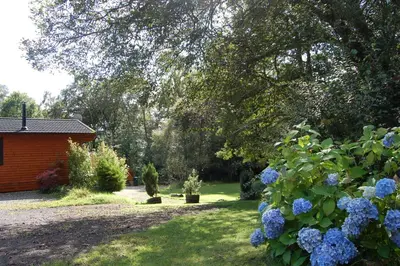 a garden with blue flowers and a building at Luxury woodland Alder Lodge in Killin