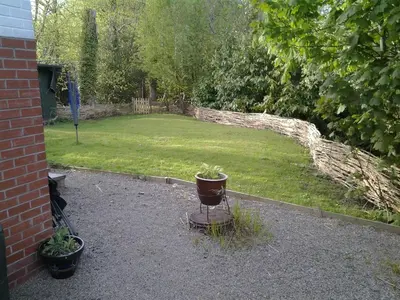 a yard with a potted plant sitting on a patio at Doonbank Cottage Bothy in Ayr