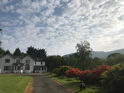 a house with a horse grazing in front of a road at Hillside Log cabin, Ardoch Lodge, Strathyre in Strathyre