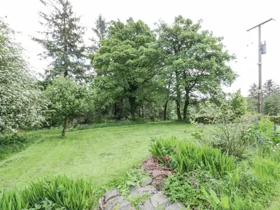 a grassy field with trees in the background at Corrafeckloch Forest Cottages in Bargrennan