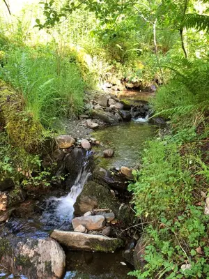 a stream of water with rocks in a forest at Balquhidder Braes Holiday Park Lodges, mostly with Hot Tubs and pet friendly, EV facilities in Lochearnhead
