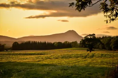 a field with animals grazing in a field with mountains in the background at Cardross Holiday Cottages in Arnprior