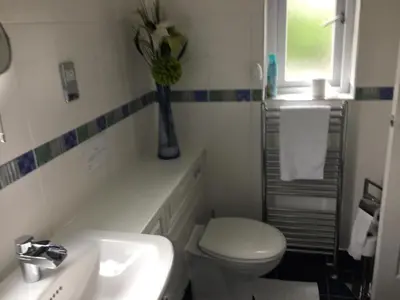 a bathroom with a white toilet and a sink at Three Bridges Bed & Breakfast in Rosyth