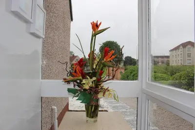 a vase of flowers sitting on a table next to a window at The Marlfield in Bellshill