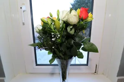 a vase filled with flowers in front of a window at Signature - Anderson View in Motherwell