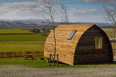 a small wooden building in a field with a bench at Mains Farm in Stirling