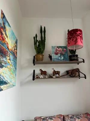 a wall with shelves with a cactus and a lamp at Stunning 2 bedroom apartment in Glasgow