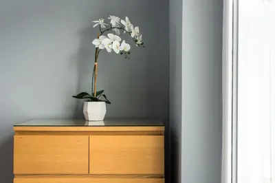 a vase with white flowers on top of a dresser at Castle apt, modern, CENTRAL in Edinburgh