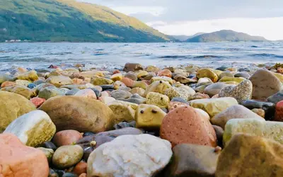 a bunch of rocks on a beach near the water at Highland Croft B&B in Onich