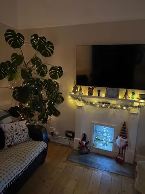 a living room with a plant and a fireplace at A Wee Cottage In Dunfermline in Dunfermline