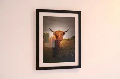 a picture of a bull hanging on a wall at Stunning 2BR Loft Apt in Oban - Sea Views in Oban