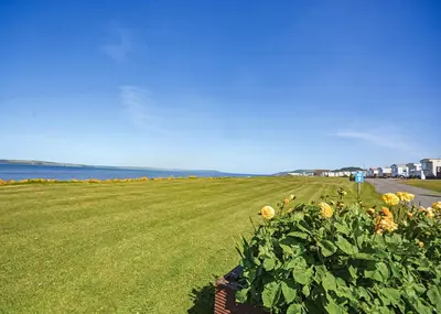 a field of sunflowers on the side of a road at Ryan Bay Holiday Park in Innermessan