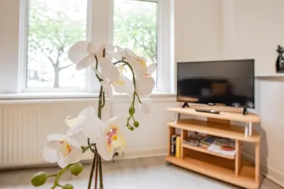 a white orchid in a living room with a tv at Stirling Mercury Apartment - Scotland Holiday Let in Stirling