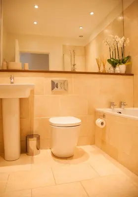 a bathroom with a toilet and a sink at The Gardener's Cottage in Dunblane