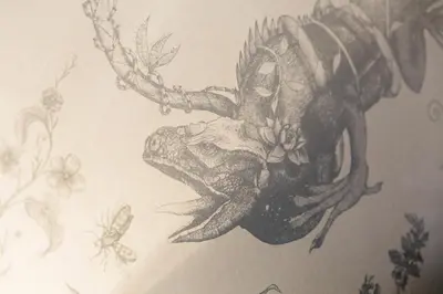 a drawing of a frog on a wall at Altavona House in Oban