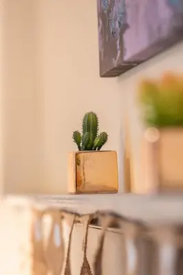 a small cactus sitting on top of a table at Cottage Apartment in Dunblane