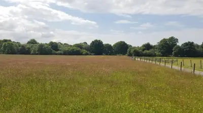 a field with a fence in the middle of it at Hawthorn Self Catering Cottages in Benderloch