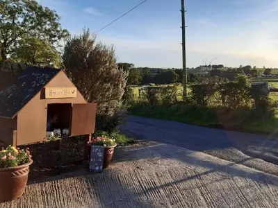 a dog house with two potted plants on the side of a road at Old Stable Cottage in Uplawmoor