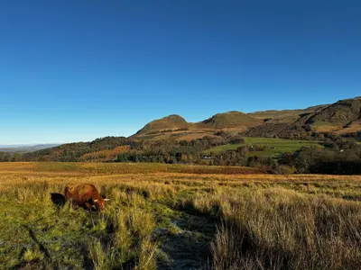 a cow grazing in a field with mountains in the background at The West Highland Way Hotel and Retreat Accommodation in Glasgow