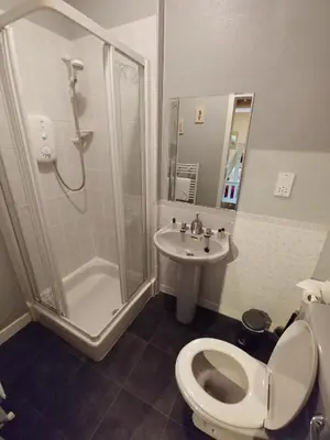 a bathroom with a toilet and a shower and a sink at Arrochoile in Balmaha