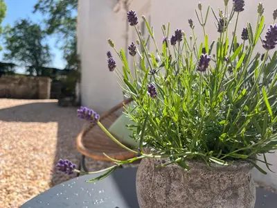 a vase filled with purple flowers sitting on a table at South Craighall B&B in Eaglesham