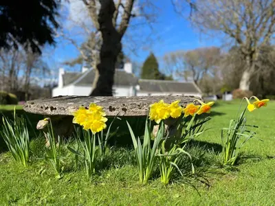 a stone bench sitting in the grass with flowers at South Craighall B&B in Eaglesham