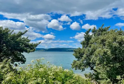 a view of a lake from between two trees at Clamshell Lodge in Otter Ferry