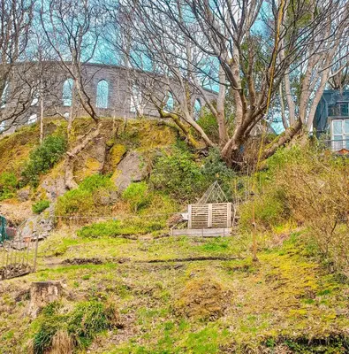 a bench on the side of a hill with a tree at Apartment D 4 Battery Terrace Oban in Oban