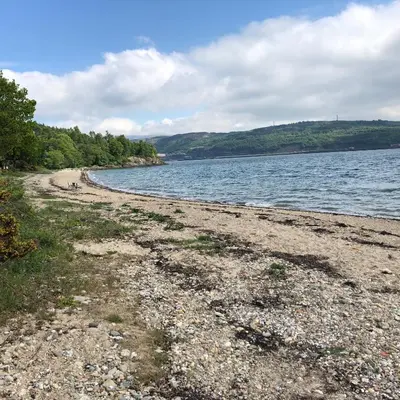a beach with a body of water and trees at Lyndhurst 28 in Dunoon