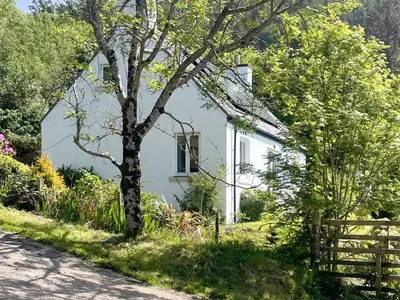 a white house with a tree next to a road at Tigh An Aighear in Arduaine