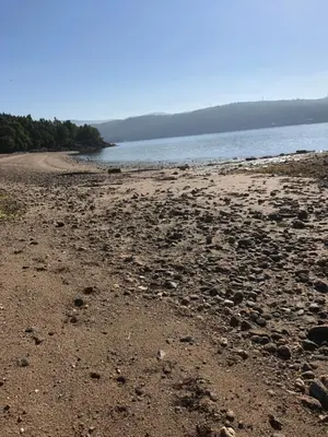 a beach with rocks and the water and trees at Swift Bordeaux Sea View 15 in Dunoon