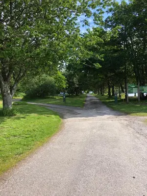 a road in a park with trees and grass at The Manor Sea View 1A in Ardentinny