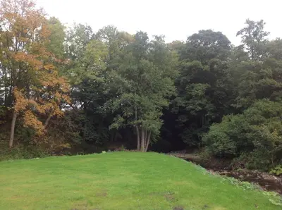 a green field with trees in the background at Grandeagles Extra large lodge in Auchterarder