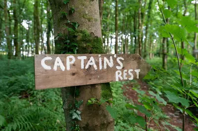 a sign on a tree in a forest at Luxury Off-Grid Cabin with Outdoor Bath in Scotland in Clachan of Campsie